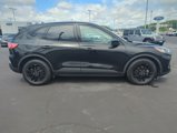 Certified 2020 Ford Escape SE Sport image 6