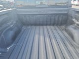 Used 2022 Chevrolet Colorado ZR2 w/ ZR2 Midnight Special Edition image 5