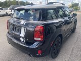 Used 2019 MINI Cooper Countryman S w/ Yin Yang Edition image 4