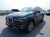 Used 2022 BMW X5 xDrive40i w/ Executive Package image 3
