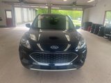 Used 2021 Ford Escape SE w/ Convenience Package image 2