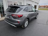 New 2025 Ford Escape Active w/ Cold Weather Package image 4