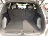 Used 2024 Ford Escape ST-Line w/ Tech Pack #1 image 5