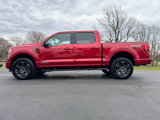 Used 2021 Ford F150 XLT w/ Equipment Group 302A High image 2