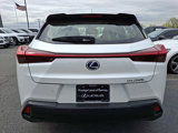 Used 2020 Lexus UX 250h w/ Premium Package image 5