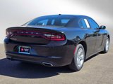 Used 2020 Dodge Charger SXT w/ Leather Interior Group image 3