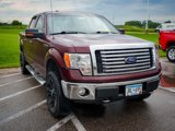 Used 2010 Ford F150 XLT image 3