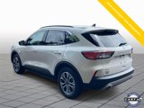 Certified 2022 Ford Escape SEL image 4