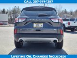 Used 2020 Ford Escape SE image 4