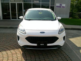 Used 2020 Ford Escape SE image 6