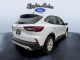 New 2025 Ford Escape Active w/ Cold Weather Package image 5