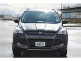Used 2015 Ford Escape SE w/ Equipment Group 201A image 2