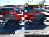Used 2003 Honda Element EX image 5