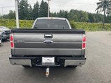 Used 2013 Ford F150 XLT image 6