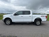 Used 2019 Ford F150 XLT w/ Equipment Group 302A Luxury image 4