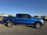 Used 2013 Ford F150 XLT w/ XLT Chrome Pkg image 5