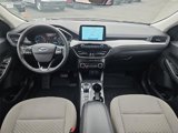 Certified 2022 Ford Escape SE w/ Convenience Package image 2