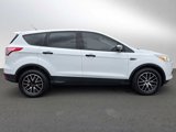 Used 2014 Ford Escape S image 6