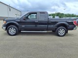 Used 2013 Ford F150 XLT w/ Luxury Equipment Group image 4