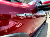 Used 2013 Ford F150 FX4 w/ Luxury Equipment Group image 3