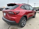 New 2025 Ford Escape ST-Line w/ Tech Pack #1 image 5