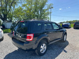 Used 2011 Ford Escape XLT w/ 202A Rapid Spec Order Code image 3