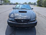 Used 2004 Ford Mustang GT image 2