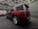 Used 2016 Cadillac Escalade Platinum image 5