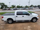 Used 2013 Ford F150 XLT w/ Luxury Equipment Group image 5