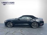 Used 2022 Ford Mustang Premium image 2