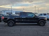 Used 2010 Ford F150 XLT image 2