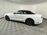 Used 2023 Ford Mustang Premium image 2
