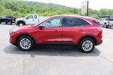 Used 2022 Ford Escape SE w/ Convenience Package image 2