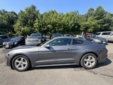 Used 2023 Ford Mustang Coupe image 4