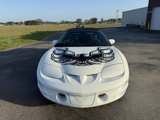 Used 2001 Pontiac Firebird Trans Am image 6