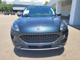 Used 2022 Ford Escape SE w/ Convenience Package image 2