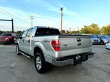 Used 2013 Ford F150 XLT w/ Luxury Equipment Group image 3