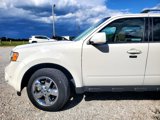 Used 2010 Ford Escape Limited image 4
