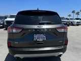 Certified 2020 Ford Escape SE Sport image 4