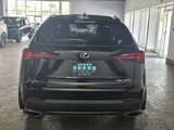 Used 2021 Lexus NX 300 AWD w/ Luxury Package image 5