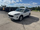Used 2022 Ford Escape SE w/ Cold Weather Package image 4