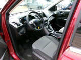 Used 2014 Ford Escape SE w/ Equipment Group 201A image 5