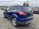 Used 2016 Ford Escape SE w/ SE Leather Comfort Package image 2