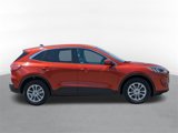 Used 2020 Ford Escape SE image 2
