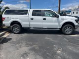 Used 2013 Ford F150 XLT w/ Luxury Equipment Group image 2