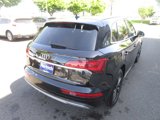 Used 2021 Audi Q5 Premium Plus image 5