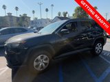 Used 2019 Toyota RAV4 LE image 3