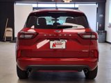 Used 2024 Ford Escape ST-Line w/ Tech Pack #1 image 6