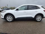 Used 2023 Ford Escape Active w/ Tech Pack #1 image 4