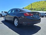 Certified 2024 Chevrolet Malibu LT image 3